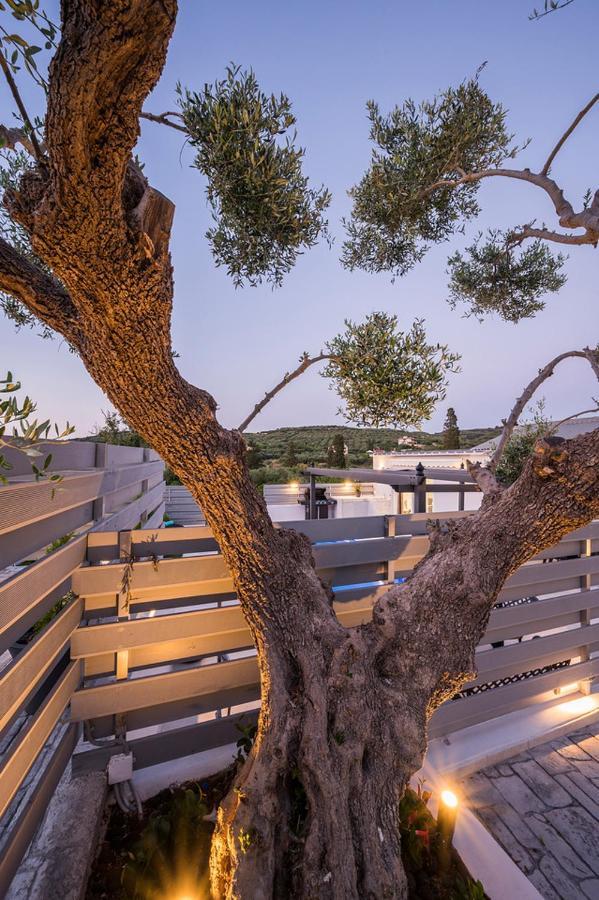 B&M Villas Metochi Siriliou Bagian luar foto